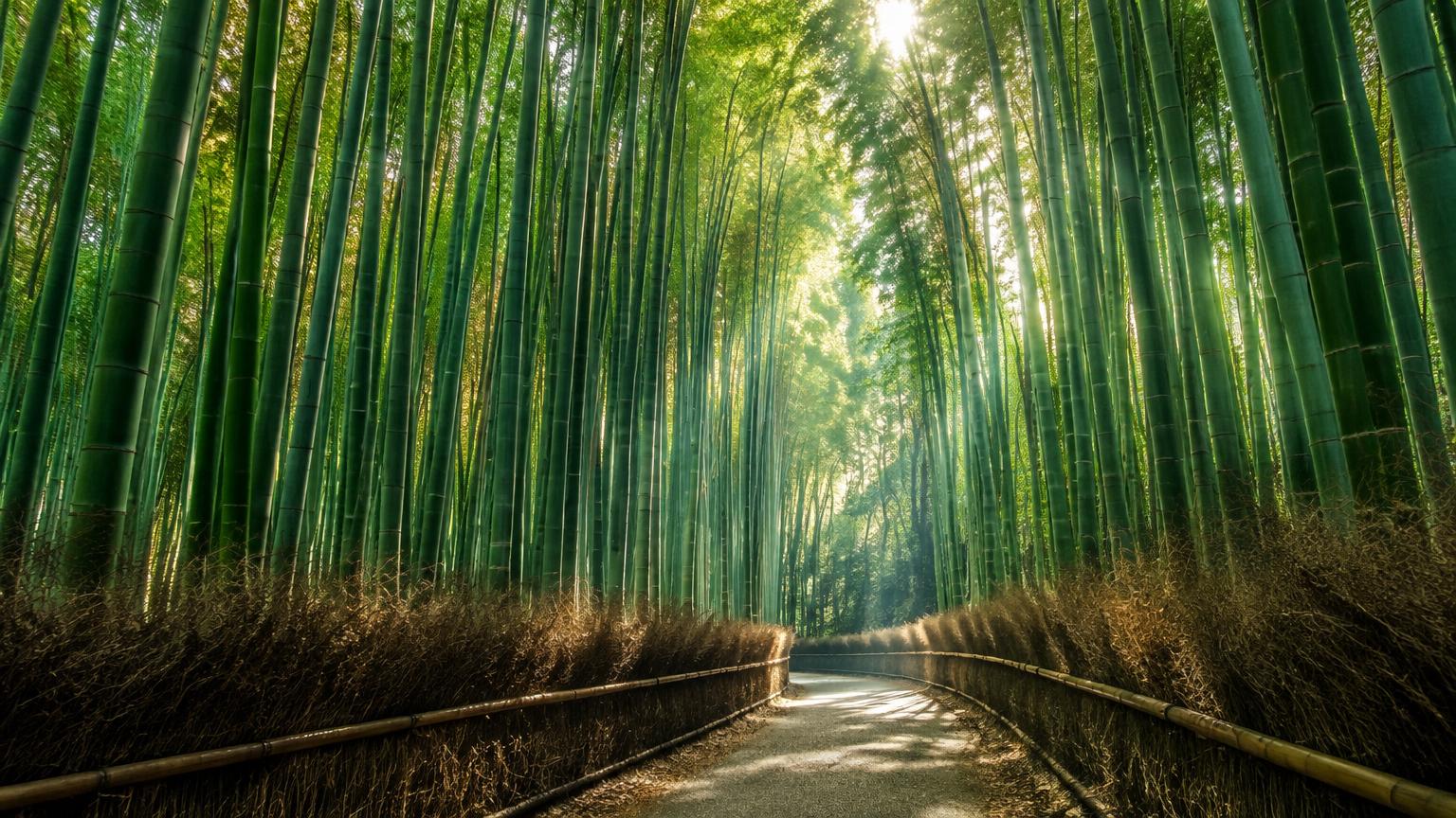 Kyoto, Japan